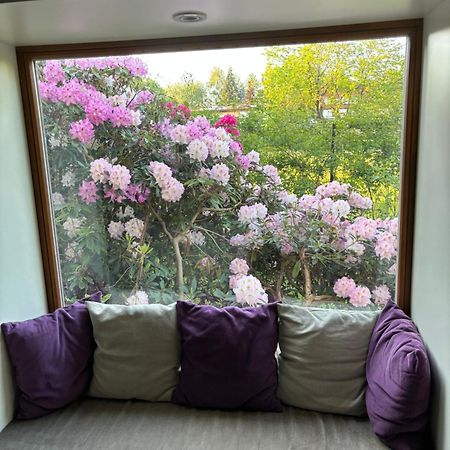 7 Bedroom Secluded Villa Close To Prague Říčany المظهر الخارجي الصورة